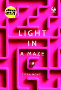 Image of LIGHT IN A MAZE